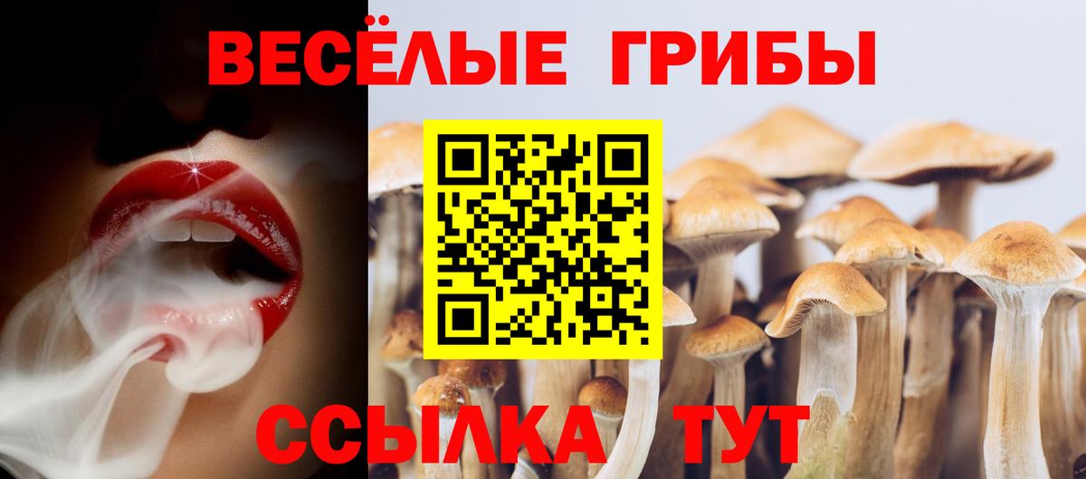 Галлюциногенные грибы MAGIC MUSHROOMS  Псилоцибиновые грибы Psilocybe  Вход с VPN  купить наркоту  Семёнов 